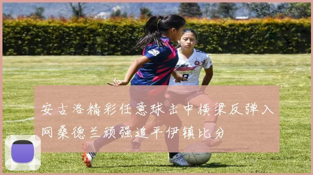 安古洛精彩任意球击中横梁反弹入网桑德兰顽强追平伊镇比分