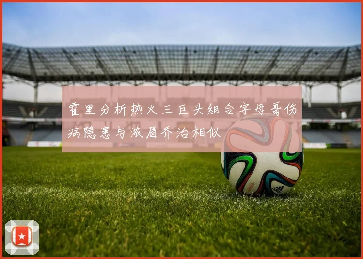 霍里分析热火三巨头组合字母哥伤病隐患与浓眉乔治相似